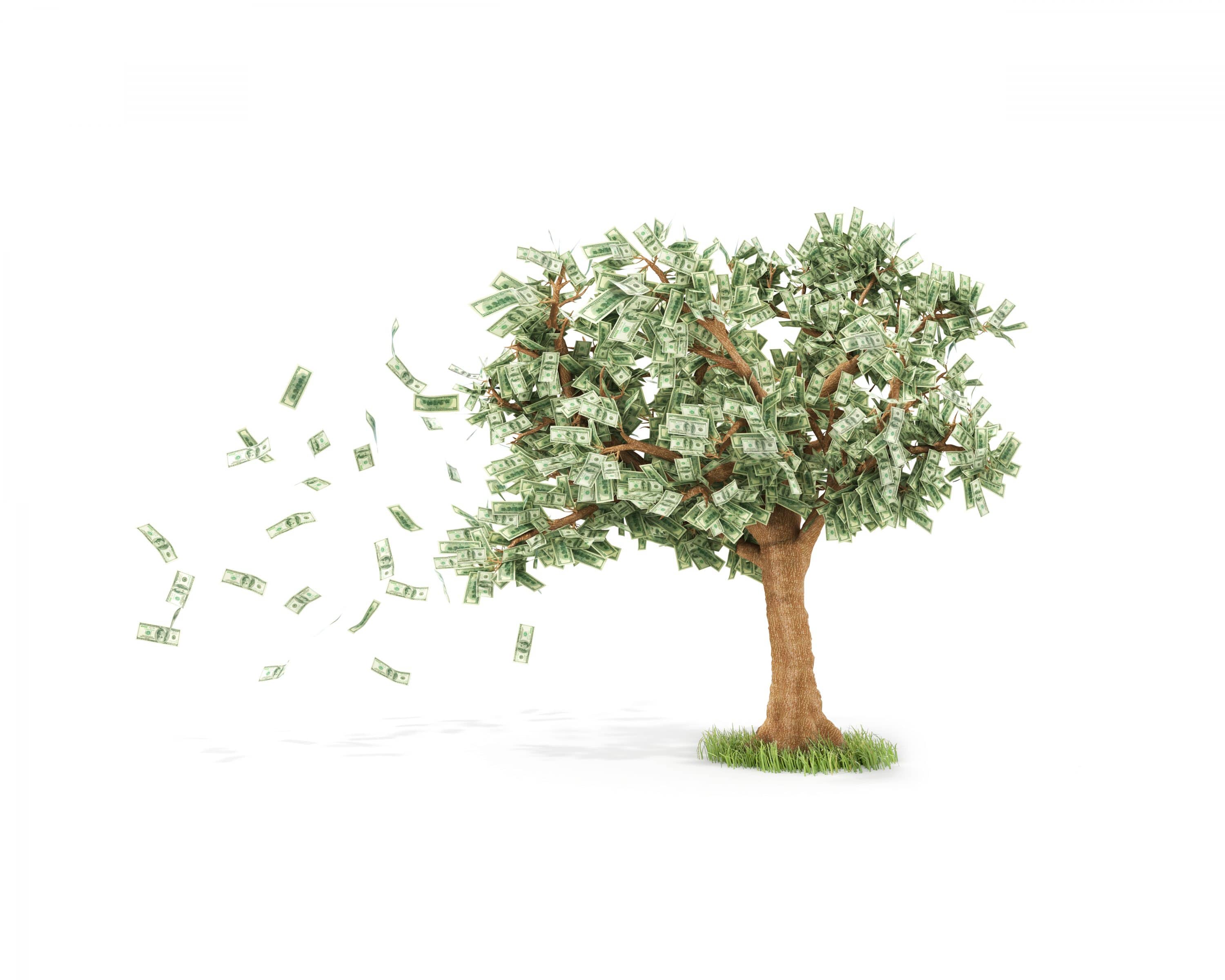 shutterstock319937966 e1484317010535