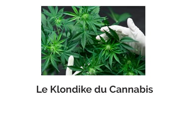 BilletBoursier KlondikeCannabis