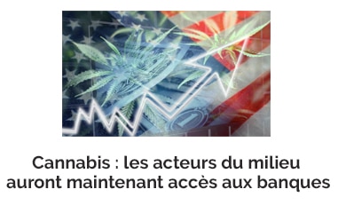 BilletBoursier Canabis banque