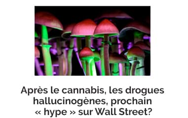 BilletBoursier Cannabis hallucinogenes
