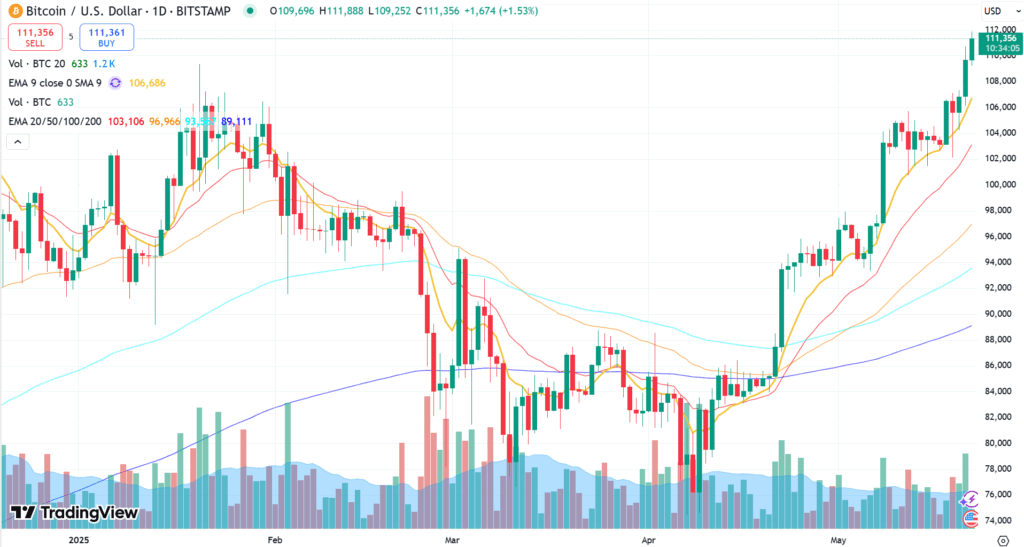 Bitcoin Pizza Day 2025 : Nouveau Record à 111500$ 13 Bitcoin chart